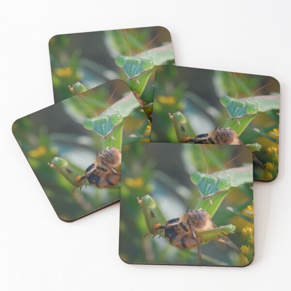 Item preview, Unfortunate Meeting of the Mantis and the Bee designed and sold by dlamb.