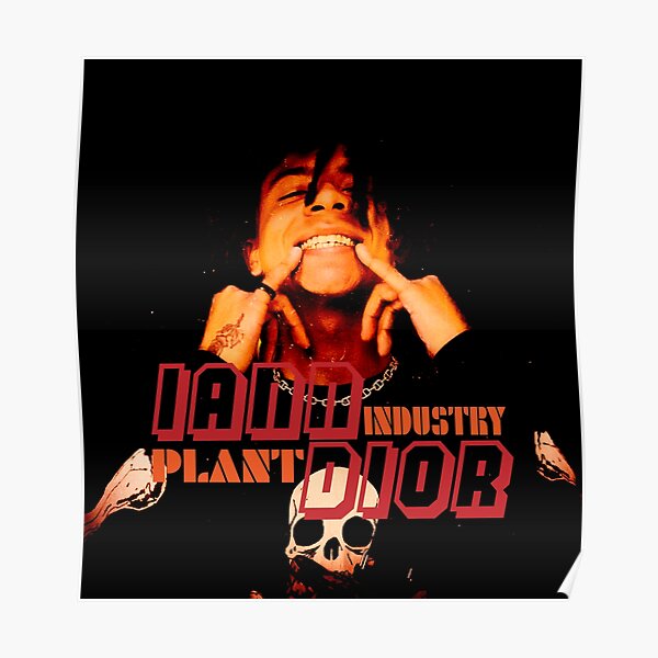 Dior Molly Poster