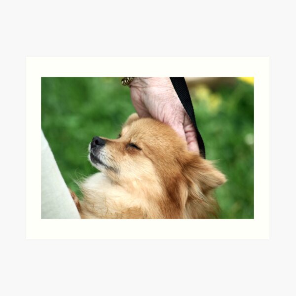 Momma found the right spot! Art Print