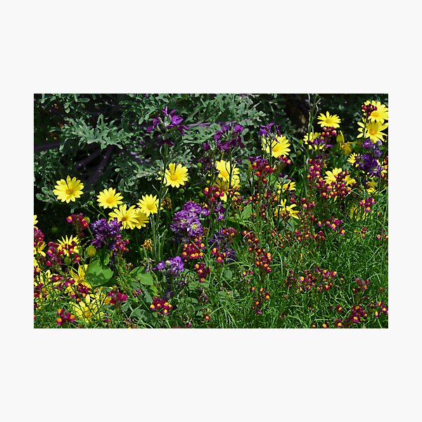 Item preview, A Pretty Flower Setting in the Garden designed and sold by Paula Betz.