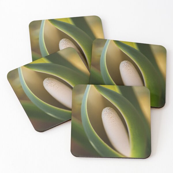 Item preview, Elegant Monstera Deliciosa  designed and sold by Joy Watson - Natural Light Photography .