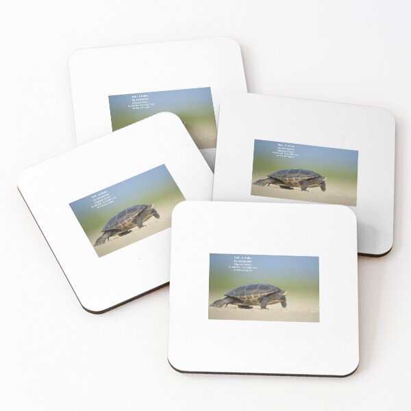 Item preview, tutle haiku designed and sold by phuket221108.