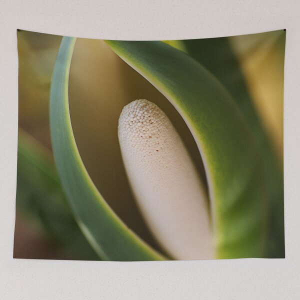 Item preview, Elegant Monstera Deliciosa  designed and sold by Joy Watson - Natural Light Photography .