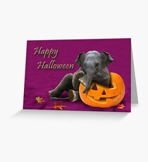 Halloween Elefant Grußkarte