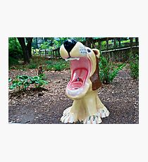 Drinking fountain in the Houston Zoo Photographic Print