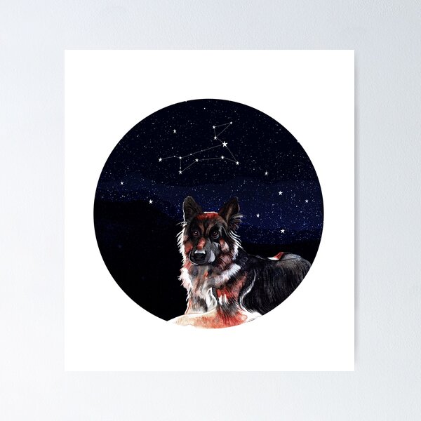 Item preview, Canis Major designed and sold by cerealisgreat.