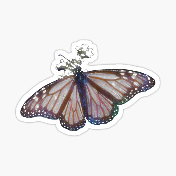 Midnight Butterfly Multicolored AngelStar 16 Rectangular Plate