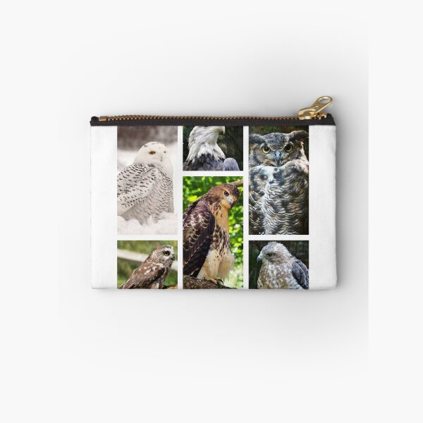 Item preview, birds of prey collection designed and sold by BBrightman.
