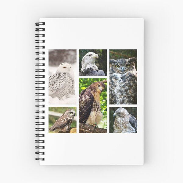 Item preview, birds of prey collection designed and sold by BBrightman.