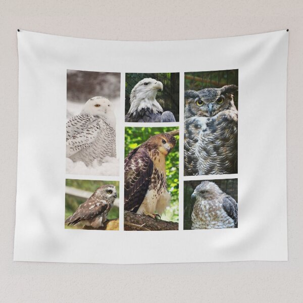 Item preview, birds of prey collection designed and sold by BBrightman.