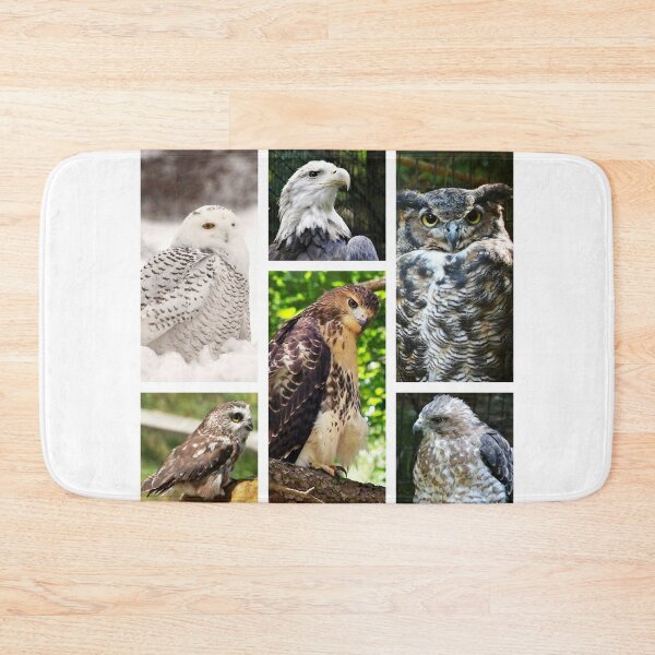 Item preview, birds of prey collection designed and sold by BBrightman.