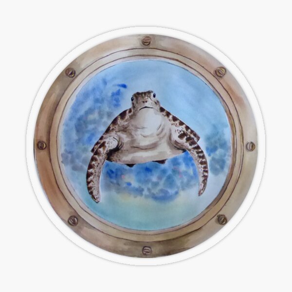 Aperçu de l'œuvre tortue marine derrière le hublot créée et vendue par Zamen.