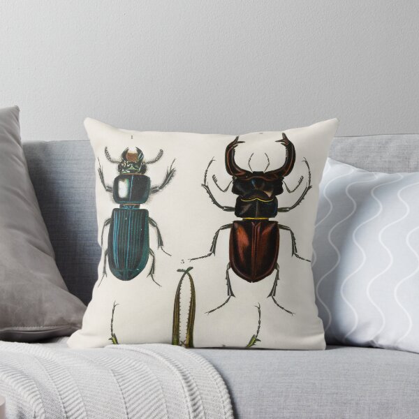 Artikelvorschau, Exotic Beetles bug vintage illustration  entworfen und verkauft von Vintage Designs +.