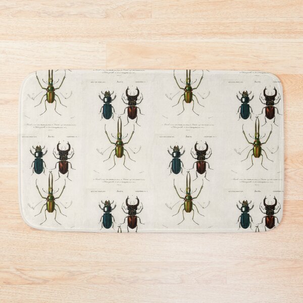Item preview, Exotic Beetles bug vintage illustration  designed and sold by Vintage Designs +.