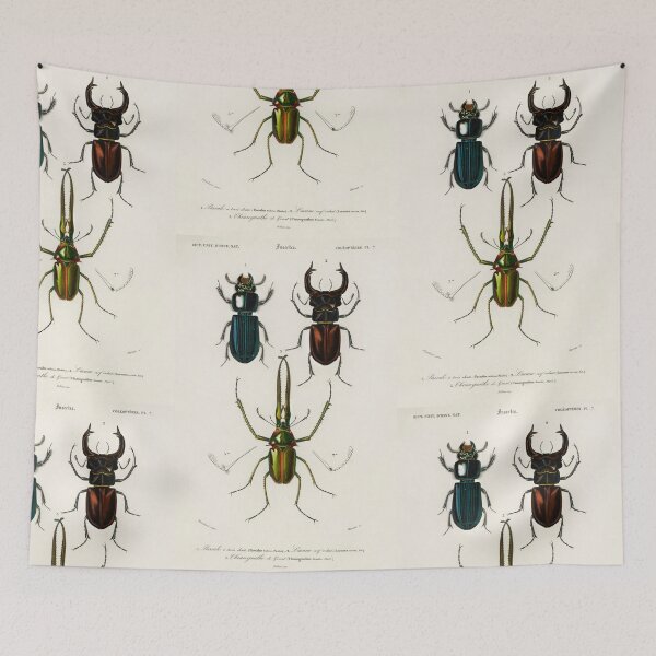 Item preview, Exotic Beetles bug vintage illustration designed and sold by Vintage Designs +.