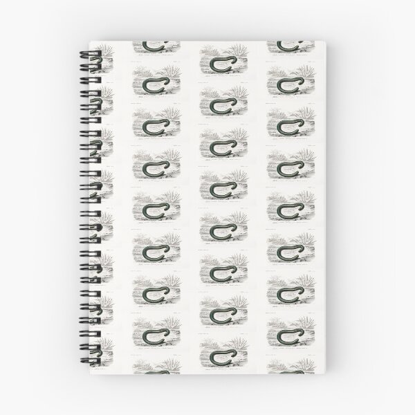 Item preview, Slow worm  vintage illustration  designed and sold by Vintage Designs +.