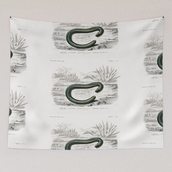 Item preview, Slow worm  vintage illustration  designed and sold by Vintage Designs +.
