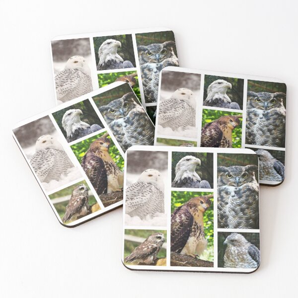 Item preview, birds of prey collection designed and sold by BBrightman.