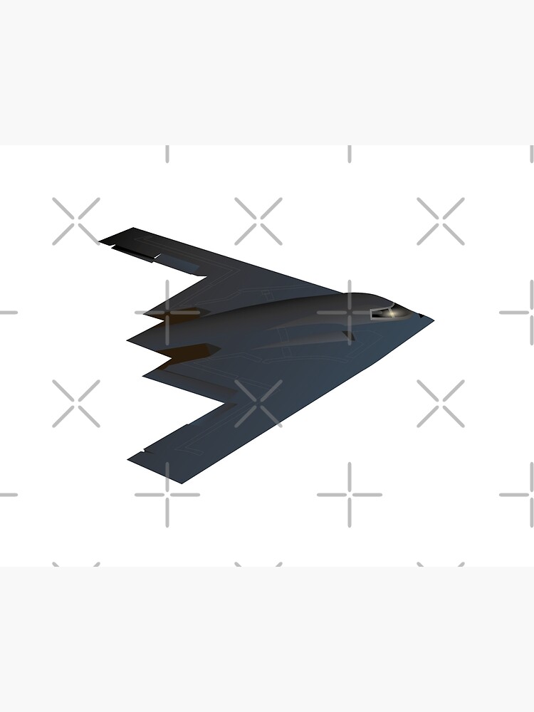 American Stealth Bomber B-2 Spirit