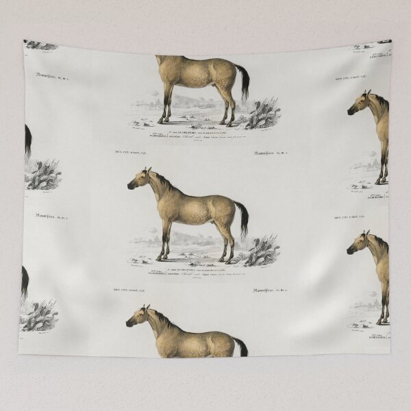 Aperçu de l'œuvre Horse vintage illustration créée et vendue par Vintage Designs +.