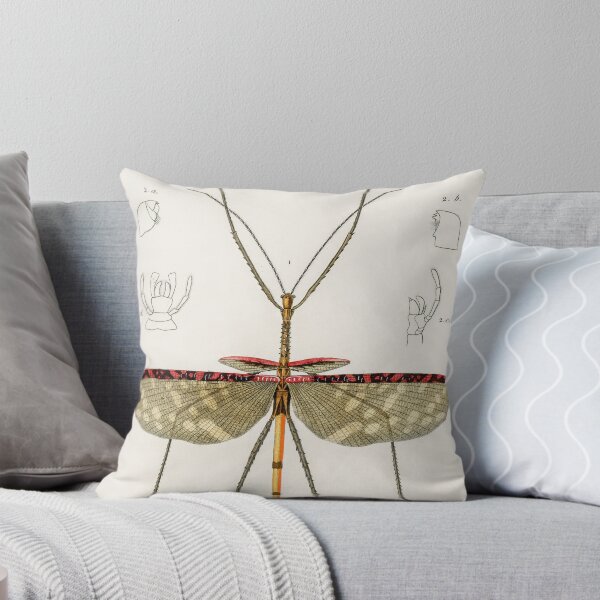Item preview, Stick insect bug vintage illustration  designed and sold by Vintage Designs +.