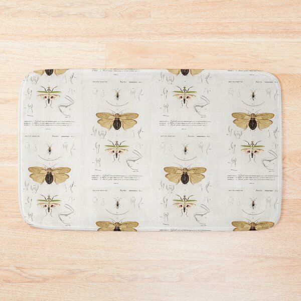Item preview, Exotic Beetles bug vintage illustration  designed and sold by Vintage Designs +.
