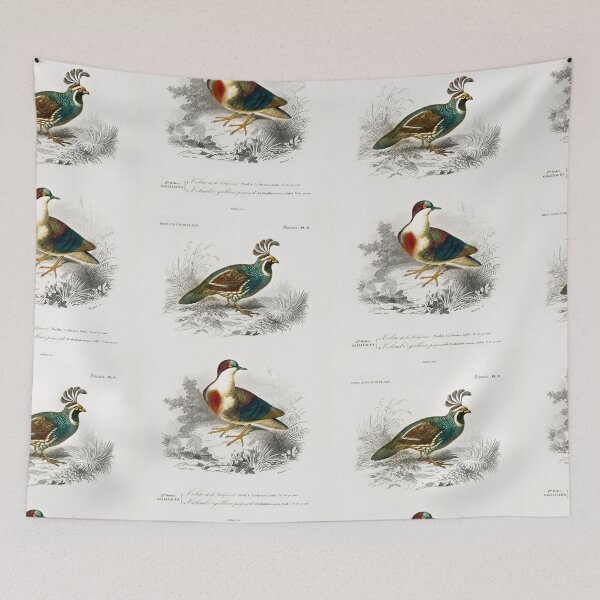 Artikelvorschau, Exotic birds of paradise vintage illustration entworfen und verkauft von Vintage Designs +.