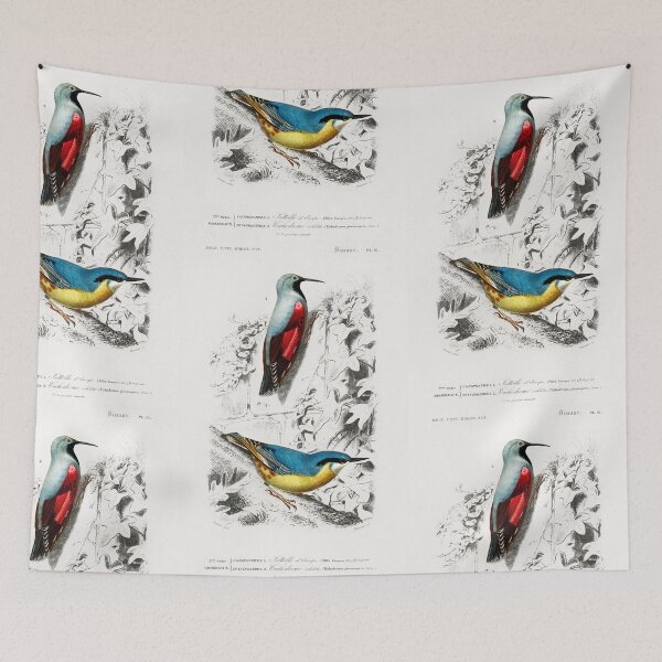 Artikelvorschau, Exotic birds of paradise vintage illustration entworfen und verkauft von Vintage Designs +.