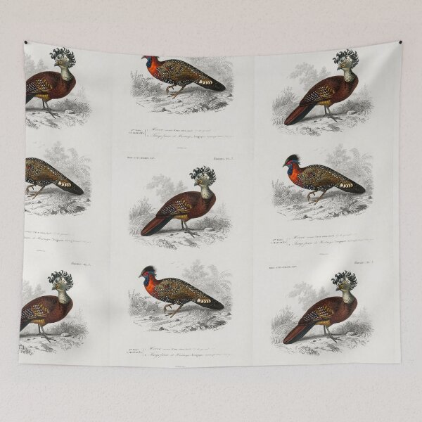 Item preview, Exotic birds of paradise vintage illustration  designed and sold by Vintage Designs +.