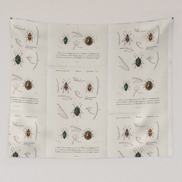 Item preview,  Exotic Beetles bug vintage illustration  designed and sold by Vintage Designs +.