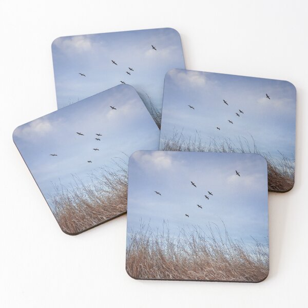 Item preview, birds migration designed and sold by psychoshadow.