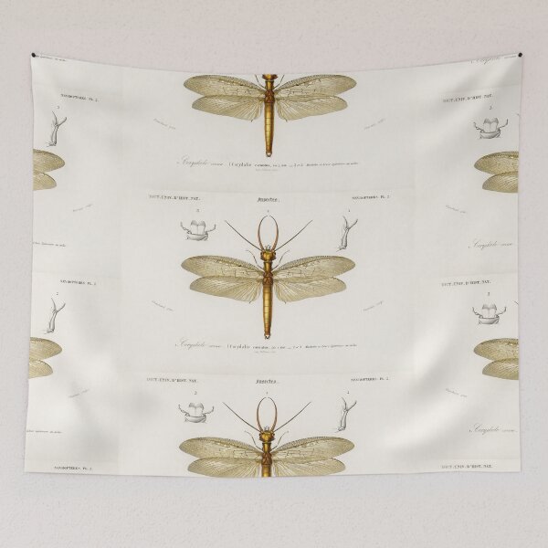 Artikelvorschau, Bug species vintage illustration entworfen und verkauft von Vintage Designs +.