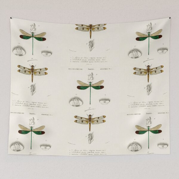 Item preview, Dragonfly species vintage illustration  designed and sold by Vintage Designs +.
