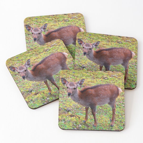 Item preview, Fawn designed and sold by WaterGardens.