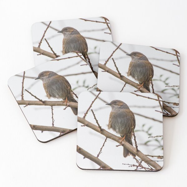 Item preview, One Legged Dunnock designed and sold by Adrian Rowley.
