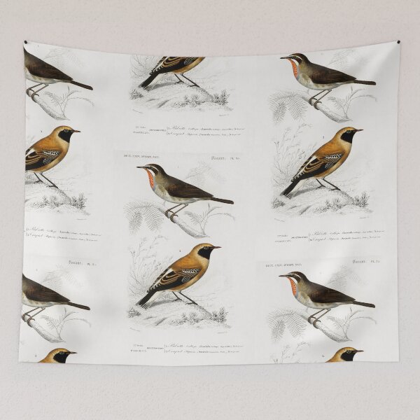 Aperçu de l'œuvre Exotic birds vintage illustration créée et vendue par Vintage Designs +.