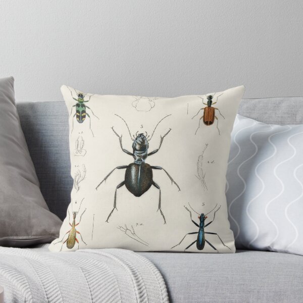Item preview, Exotic Beetles bug vintage illustration designed and sold by Vintage Designs +.
