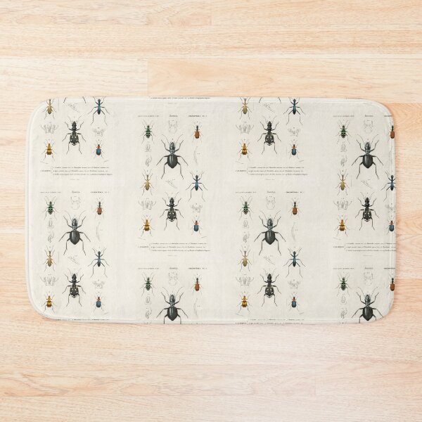 Item preview, Exotic Beetles bug vintage illustration  designed and sold by Vintage Designs +.