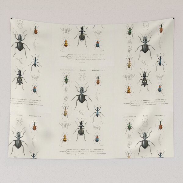 Artikelvorschau, Exotic Beetles bug vintage illustration entworfen und verkauft von Vintage Designs +.