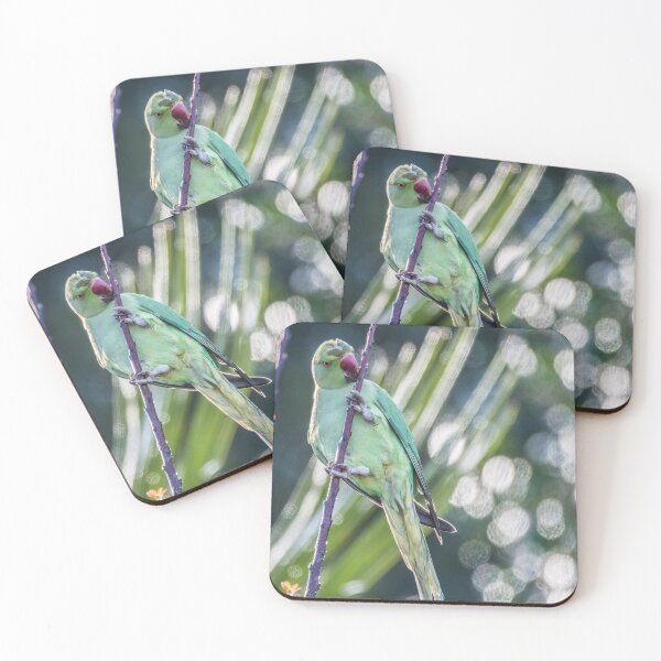 Item preview, Parakeet in Orpington, Kent designed and sold by Adrian Rowley.