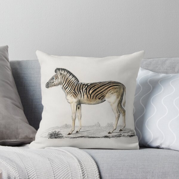 Artikelvorschau, Zebra and capybara vintage illustration  entworfen und verkauft von Vintage Designs +.