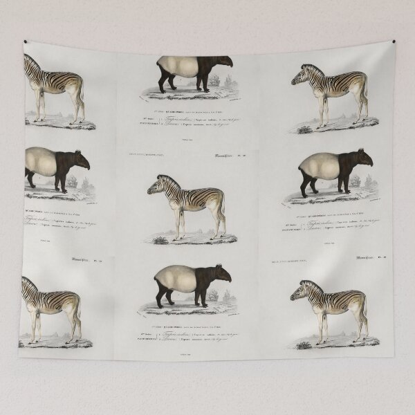 Aperçu de l'œuvre Zebra and capybara vintage illustration créée et vendue par Vintage Designs +.