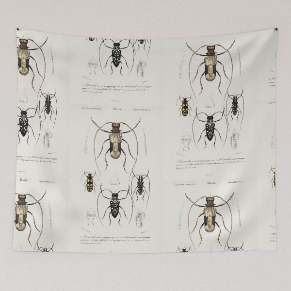 Artikelvorschau, Exotic Beetles bug vintage illustration entworfen und verkauft von Vintage Designs +.