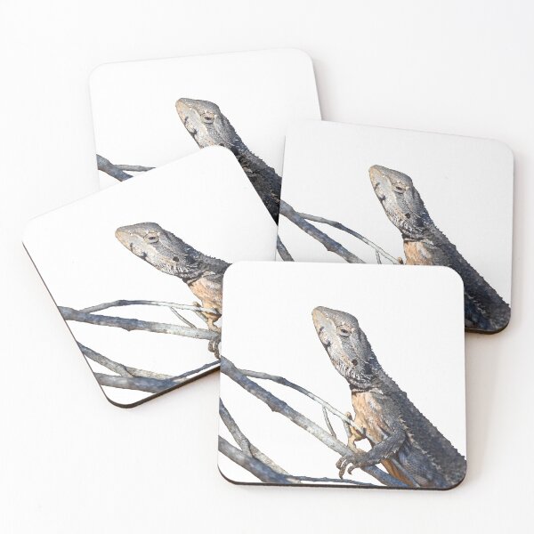 Item preview, Bearded Dragon Cutout designed and sold by Jason Gilbert.