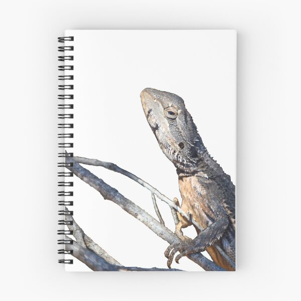 Item preview, Bearded Dragon Cutout designed and sold by Jason Gilbert.