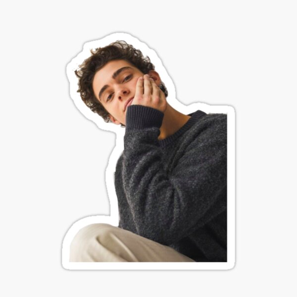Joshua Basset Sticker