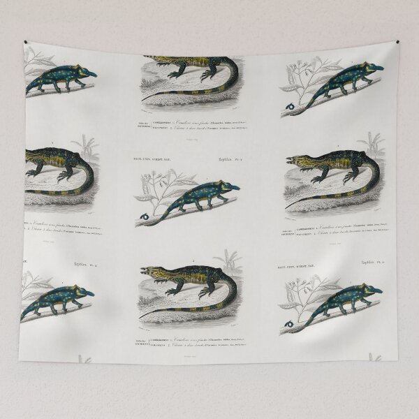 Aperçu de l'œuvre Monitor lizard and Chameleon vintage illustration créée et vendue par Vintage Designs +.
