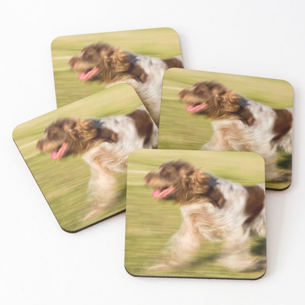 Item preview, Smooth Moves Spinone designed and sold by FOLK ART FUSION.