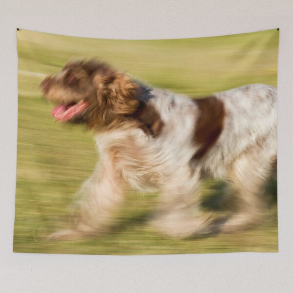 Item preview, Smooth Moves Spinone designed and sold by FOLK ART FUSION by heidiannemorris.