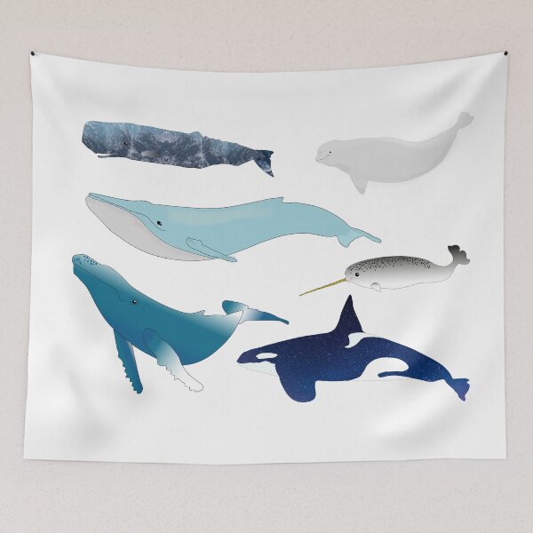 Item preview, whales designed and sold by Turquoise Tortoise.